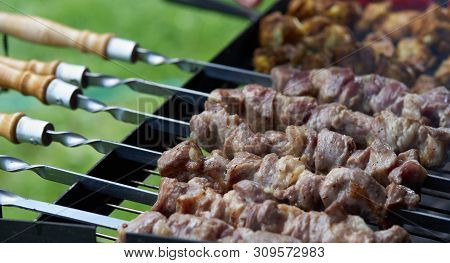 Marinated Barbecue Shashlik Kebab With Curry Winglets In Chargrill Semifinished On Skewer Dacha Picn