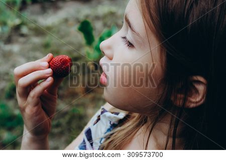 Girl Eating Strawberry. Child Face Closeup. Healthy, Organic Food. Fresh Ripe Berry. Summertime, Spr