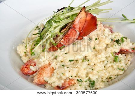 Close Up Of Lobster Risotto In A White Bowl Topped With A Half A Grilled Lobster Tail