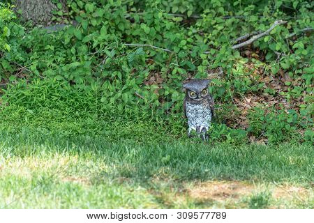 Fake Plastic Owl Decoy Keeping Watch At The Edge Of The Woods Meant To Scare Birds Away