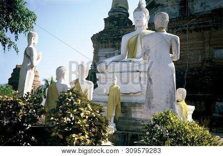 Buddha Statues Stand Among The Ancient Ruins At Wat Yai Chai Mongkhon In Ayutthaya, Thailand.