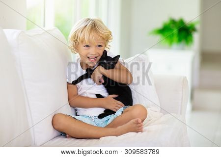 Child Playing With Baby Cat. Kid And Kitten.