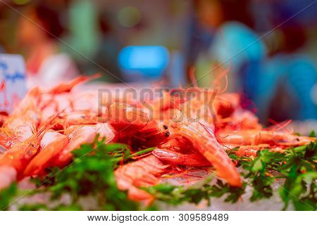 Fresh Red Prawns On The Spanish Fish Market.  Selective Focus. Bokeh