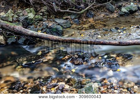 A Stony Streambed, A Stream Of Clear Water. Stream Repinka In The City Of Obninsk, Russia