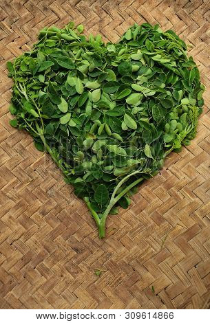 Moringo Tree Leaves.