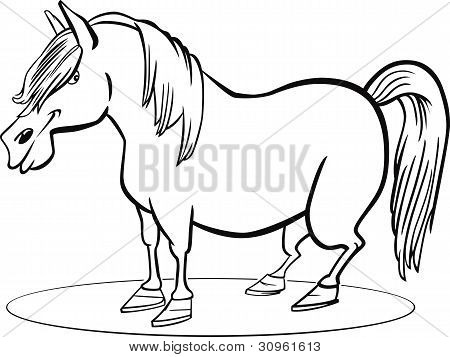 Página para colorear de dibujos animados Pony caballo