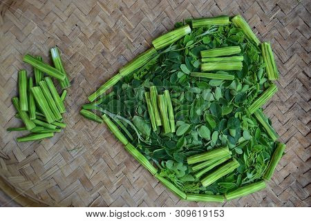 Moringo Tree Leaves And Drumsticks Fruits Of This Plants