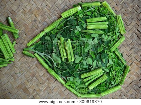 Moringo Tree Leaves And Drumsticks Fruits Of This Plants