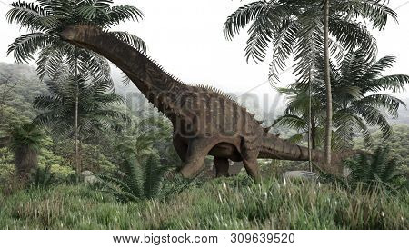 3d rendering of the walking alamosaurus in jungle
