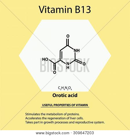Vitamin B13. Orotic Acid Molecular Chemical Formula. Useful Properties Of Vitamin. Infographics. Ill