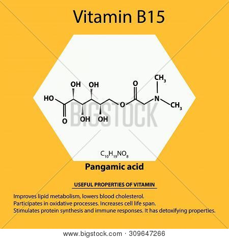Vitamin B15. Pangamic Acid Molecular Chemical Formula. Useful Properties Of Vitamin. Infographics. I