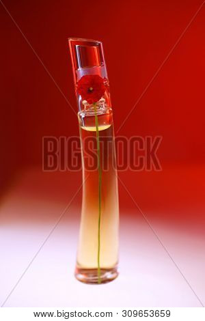 Prague, Czech Republic- January 22, 2019. Perfume KENZO bottle on red background.  Kenzo Flower Perfume