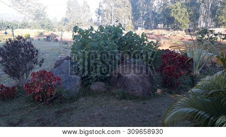 Beautiful View Of Araku Valley In The Morning
