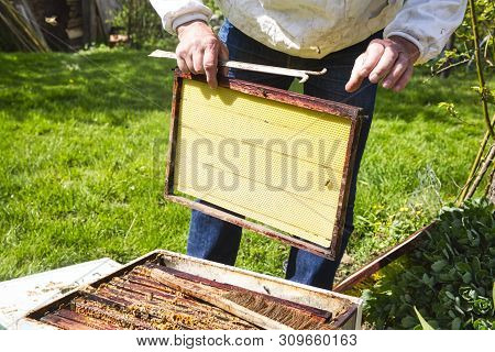 Horizontal Photo Of A Beekeeper In White Protection Suit And Denim Standing Behind A Beehive With Fr