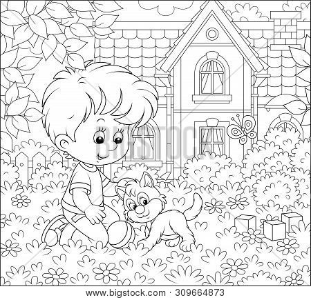 Little Boy Playing With A Cute Small Kitten Among Flowers On A Lawn In Front Of His House On A Sunny