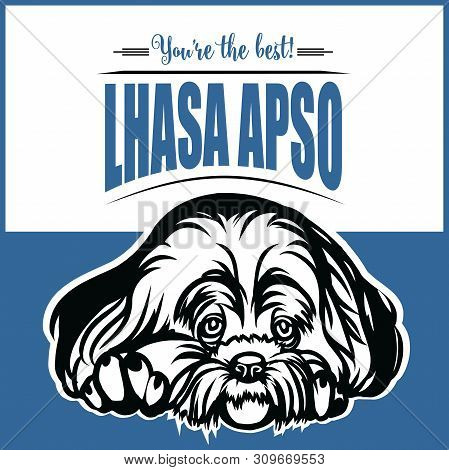 Lhasa Apso - Vector Illustration For T-shirt, Logo And Template Badges