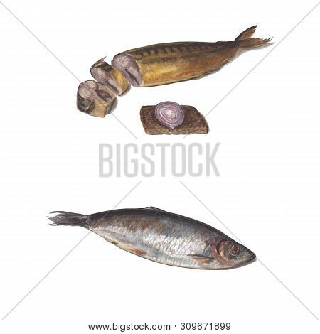 Beautiful Fresh Fish For Cooking. Herring And Smoked Mackerel. Watercolor Illustration, Objects Isol