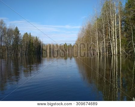 A Spring Freshet On A Small Forest River.