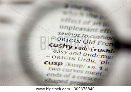 The Word Or Phrase Cushy In A Dictionary