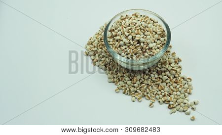 Job's Tears, Also Known As Adlay And Coix On White Background. Popular In Asian Cultures As A Food S