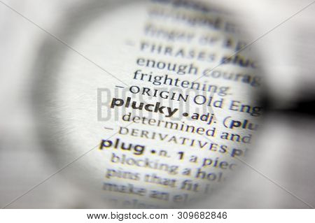 The Word Or Phrase Plucky In A Dictionary
