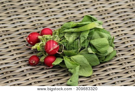 Bush Of Radish On Wooden Table Background