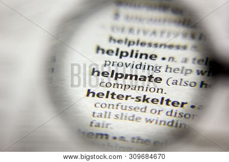 The Word Or Phrase Helpmate In A Dictionary