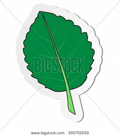 Vector Illustration, Sticker Of Green Gloxinia Leaf In Flat Cartoon Style Isolated On White Backgrou