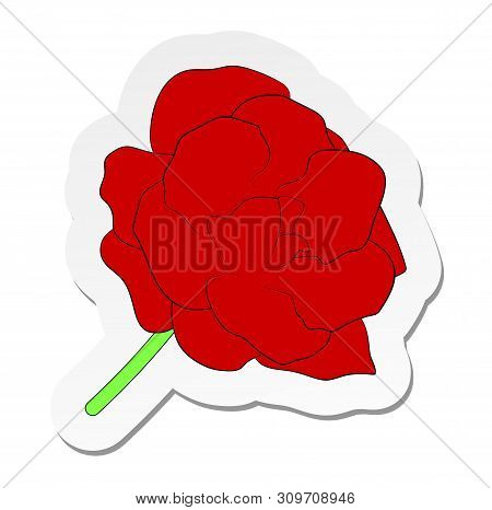 Vector Illustration, Sticker Of Red Gloxinia Flower In Flat Cartoon Style Isolated On White Backgrou