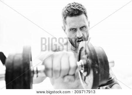 Sport Equipment. Perfect Six Pack. Muscular Man Exercising With Barbell. Athletic Body. Dumbbell Gym