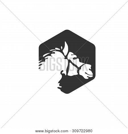Horse Logo Design. Retro Logo Illustration. Modern Design