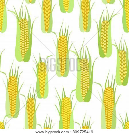 Seamless Pattern Of Corn Cobs On A White Background.  Summer, Autumn Seamless Pattern With Mess From