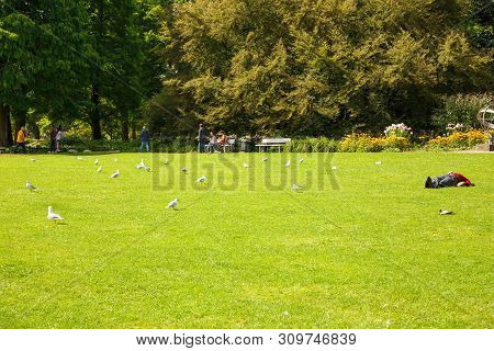 Hamburg, Germany - August 16, 2016 - View Of The Planten Un Blomen Park, The Popular Relaxing And Sp