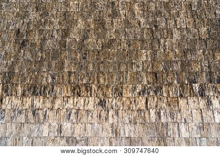 Old Abstract Textured Surface For Background Or For Wallpaper With Monotonous Color.