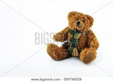 Plush Teddy Bear With Checkered Scarf Isolated On White Background.