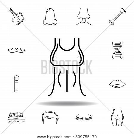 Set Of Human Organs Female Trunk Outline Icon. Signs And Symbols Can Be Used For Web, Logo, Mobile A