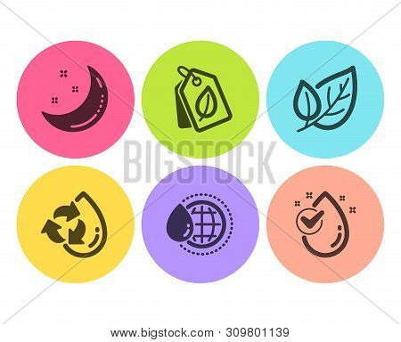 Moon Stars, Bio Tags And World Water Icons Simple Set. Recycle Water, Leaf Signs. Night, Leaf. Natur