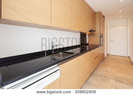 Light wood kitchen with dishwasher, stove and oven. No one inside. Elegant