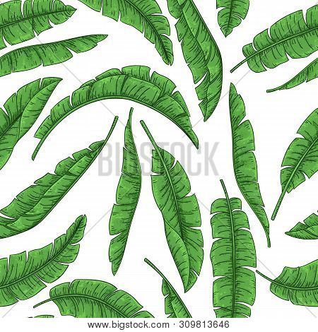 Tropical Palm Leaves Seamless Pattern, Jungle Banana