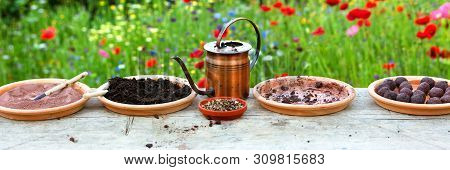 Panorama With All Ingredients For Producing Seed Bombs Or Seed Balls, In Front Of A Colorful Flower 