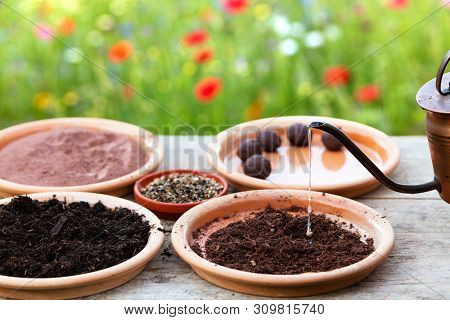 Manufacturing Of Seed Balls Or Seed Bombs On A Wooden Table, Flower Field As Background