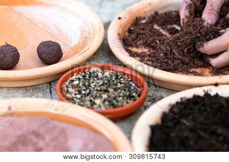 Woman Is Manufacturing Seed Balls Or Seed Bombs On A Wooden Table, Flower Field In The Background