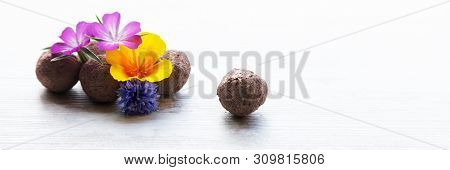 Panorama With Seed Balls Or Seed Bombs With Various Blossoms On A White, Wooden Background
