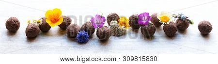 Panorama With Seed Balls Or Seed Bombs With Various Blossoms On A White, Wooden Background