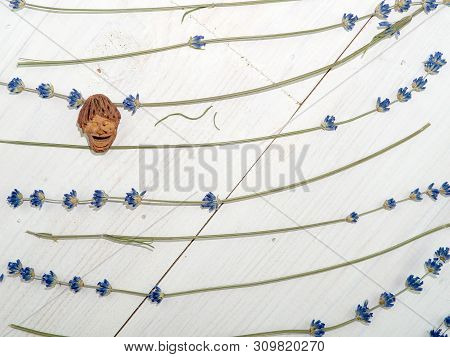 The Smiling Little Man, Object From Artisanal Art, Graven From Peach Pit, Good Luck Wish Symbol, Nea