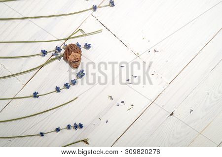 The Smiling Little Man, Object From Artisanal Art, Graven From Peach Pit, Good Luck Wish Symbol, Nea