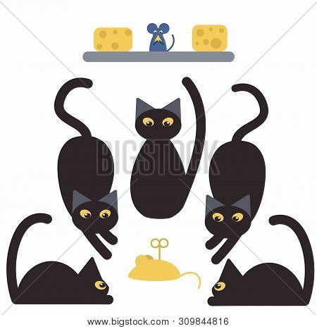 Black Cats And Mice. Several Cats Play With An Artificial Mouse.