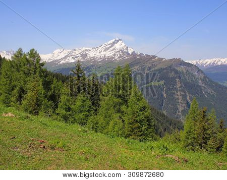 Piz Beverin And Forest. High Mountain In Switzerland.