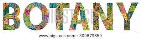 Word Botany. Vector Zentangle Object For Decoration