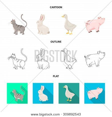 Vector Design Of Breeding And Kitchen Logo. Collection Of Breeding And Organic Vector Icon For Stock